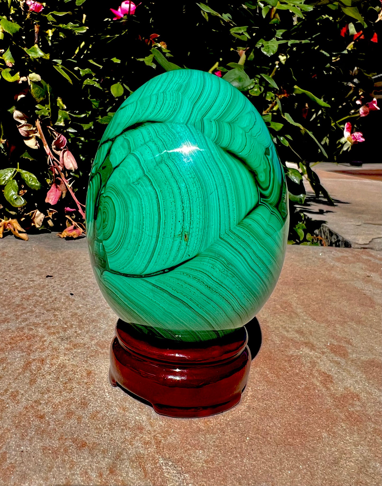 "A” Grade Polished Malachite Egg With Stand (Namibia)