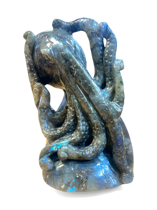 Labradorite Octopus (Madagascar) - Hand Carved - 7"x5" inches