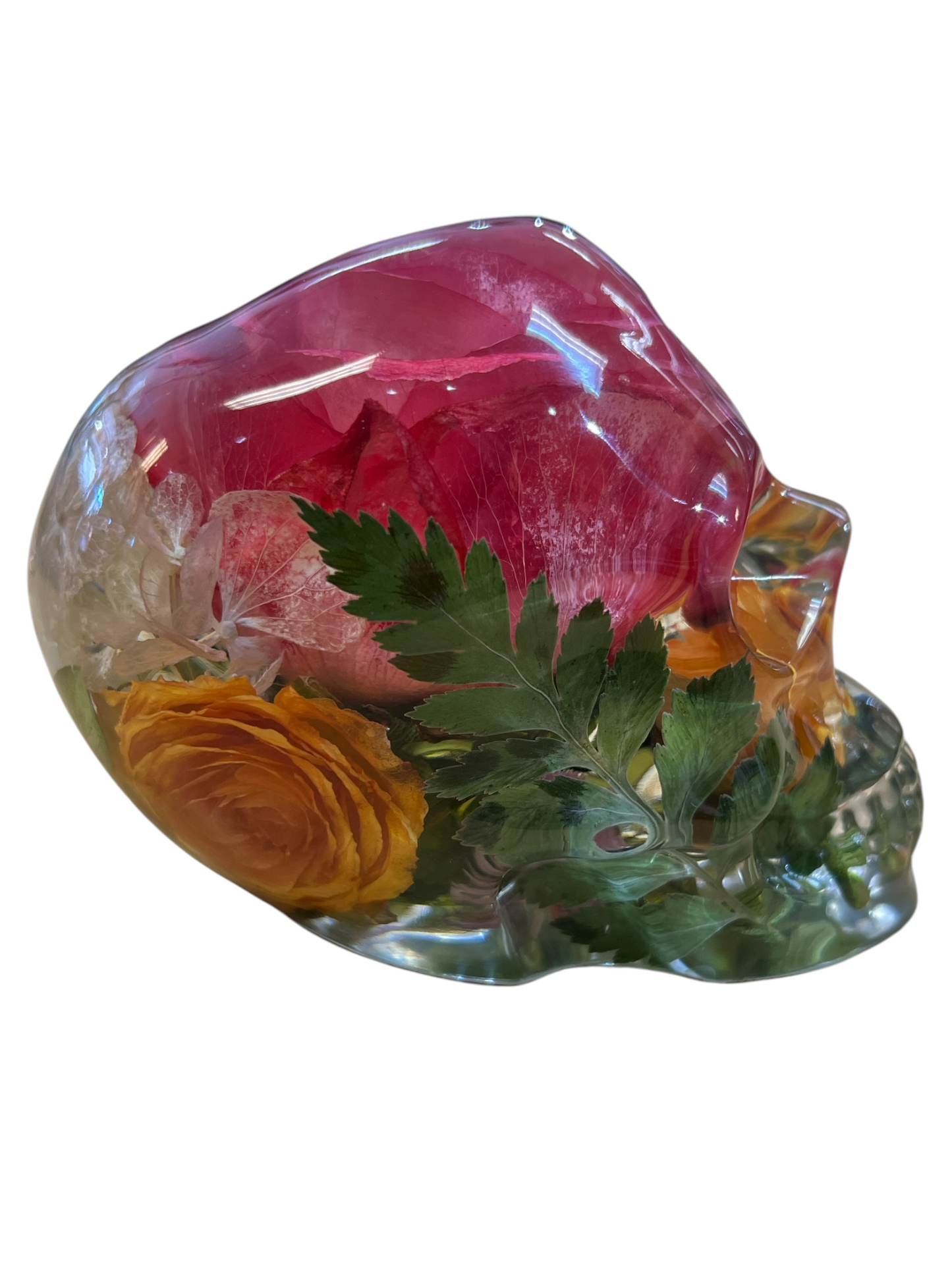 Real Taxidermy Skull & Flowers