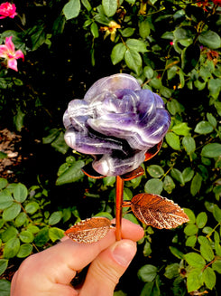 Dogtooth Amethyst Rose On Copper Stem