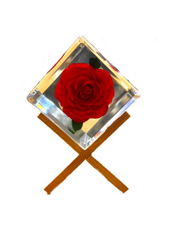 Real Rose with Wood Stand