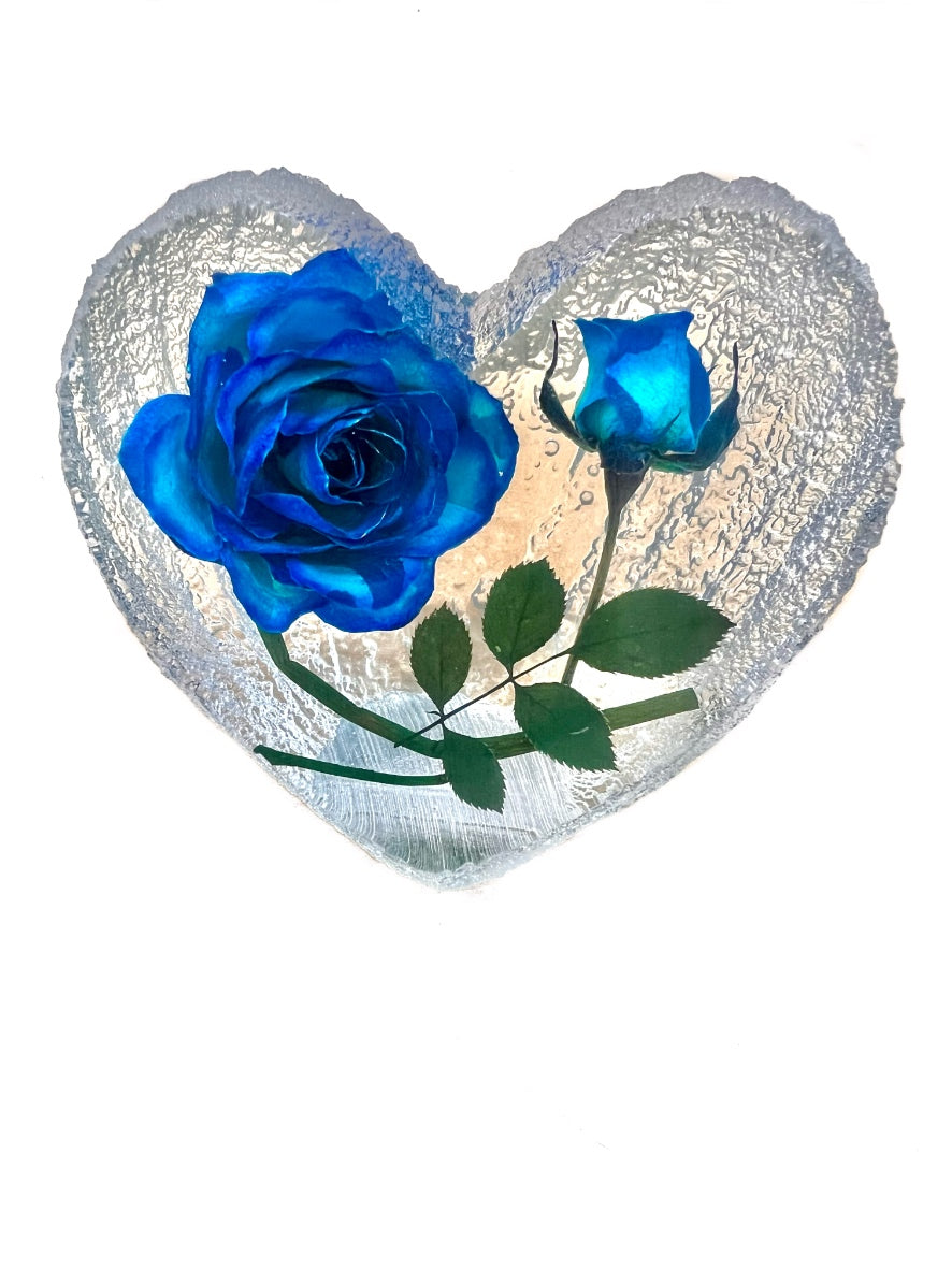 Real Blue Rose In Frosted Heart Acrylic