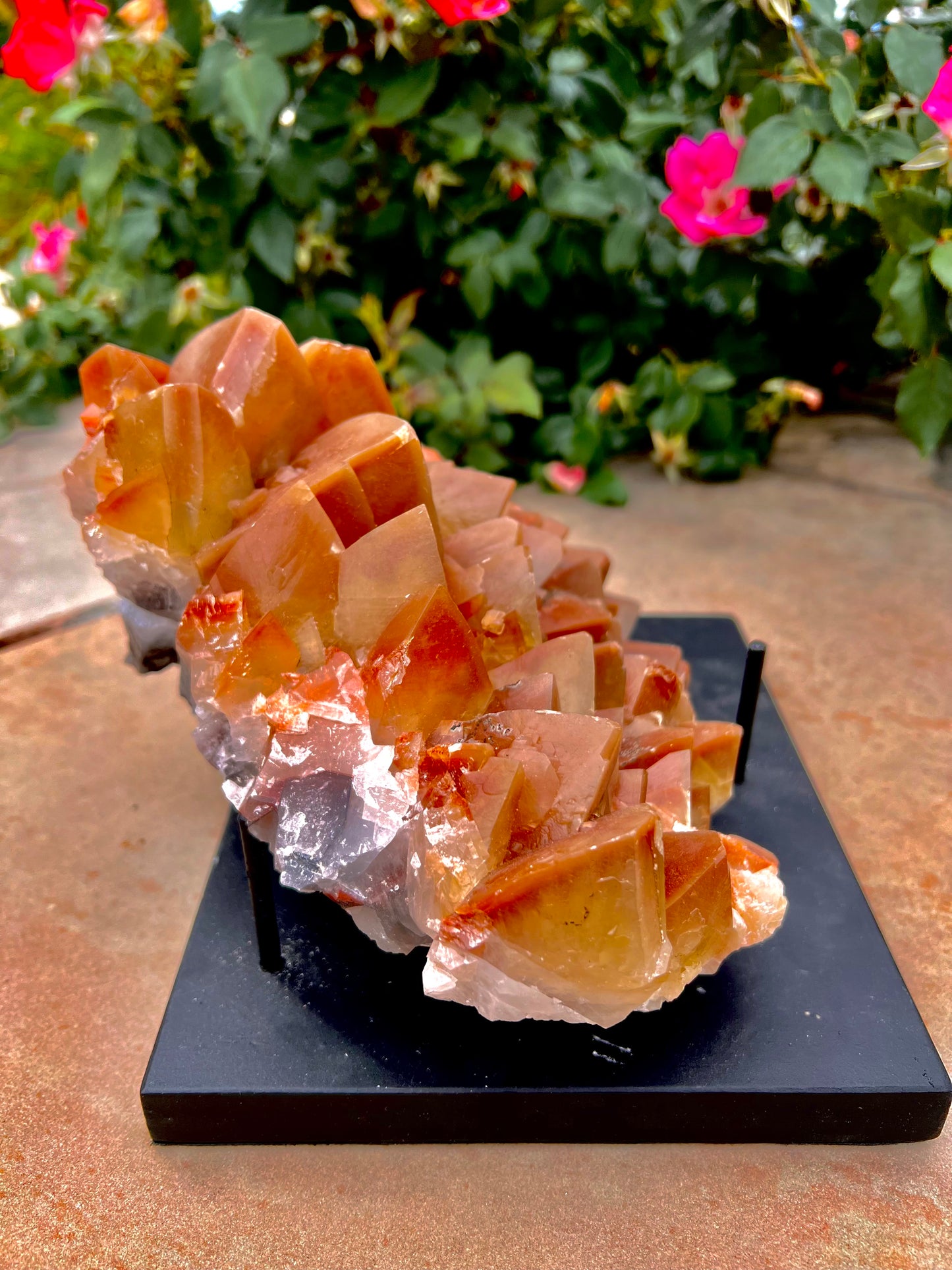 Natural Mexican Mariposa Calcite Specimen (Includes Stand)