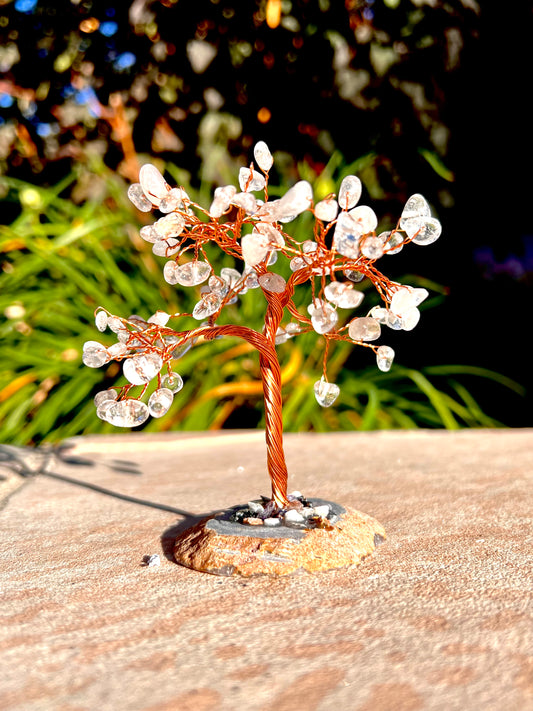 5" Inch Free Form Assorted Crystal Trees (Shape To Your Liking!)