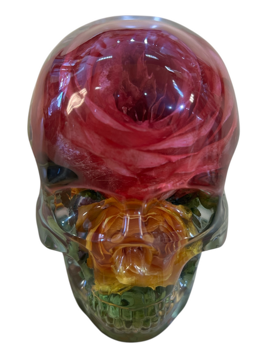 Real Taxidermy Skull & Flowers