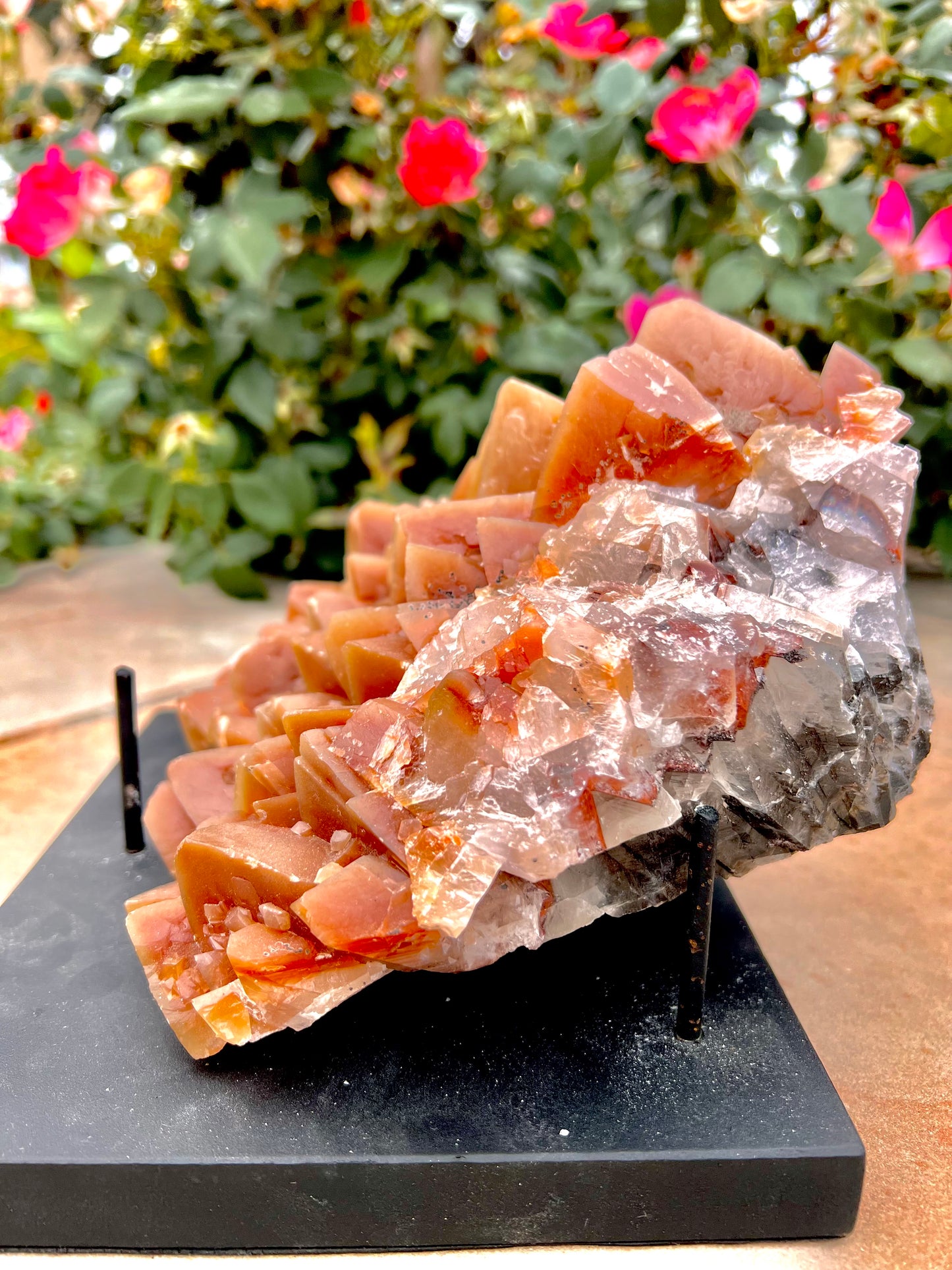 Natural Mexican Mariposa Calcite Specimen (Includes Stand)