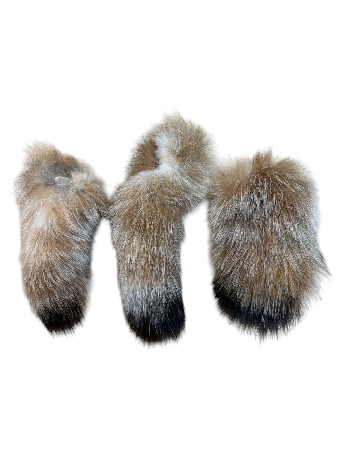 Lynx Tails - Ethically Sourced - 5-6 Inches