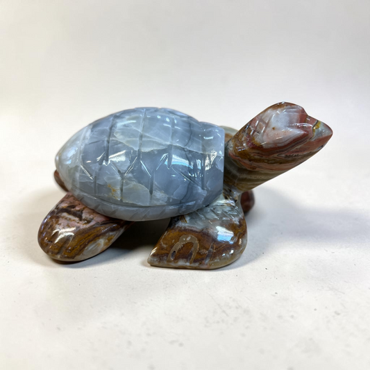 Blue Calcite / Green Mexican Onyx Turtle
