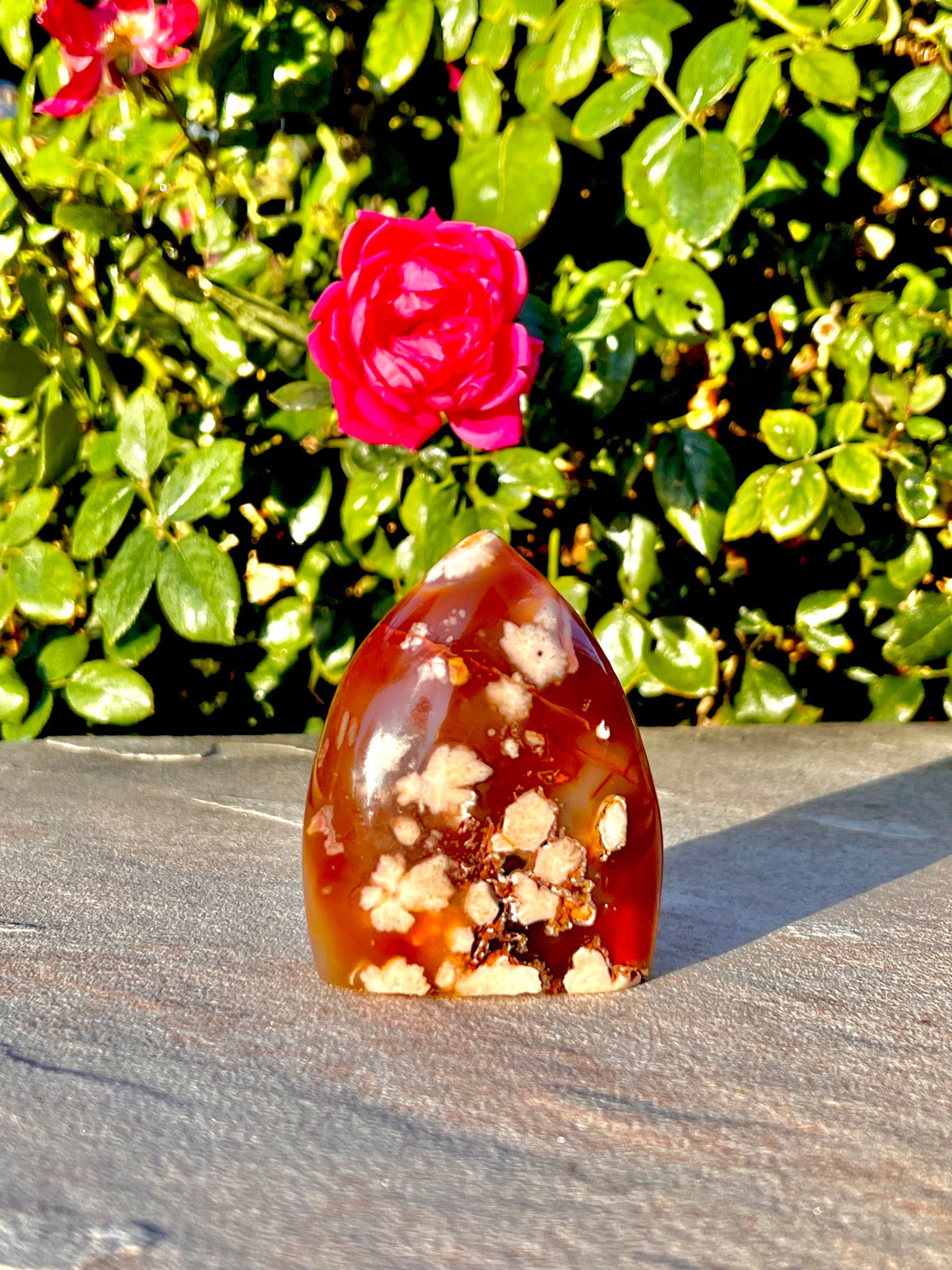 4" inch Polished Cherry Blossom Agate Free Form Specimen