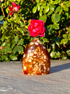 4" inch Polished Cherry Blossom Agate Free Form Specimen