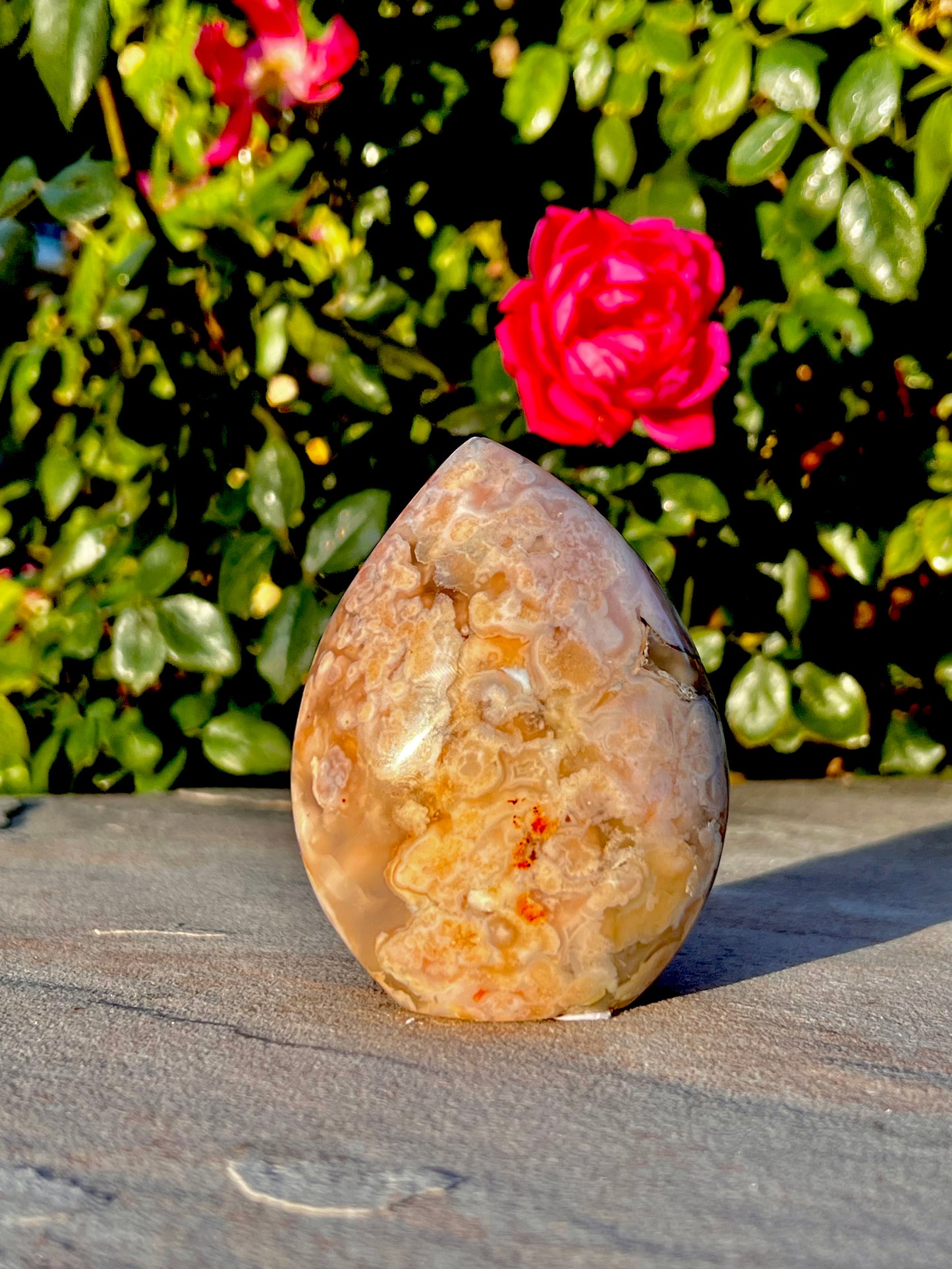 4" inch Polished Cherry Blossom Agate Free Form Specimen