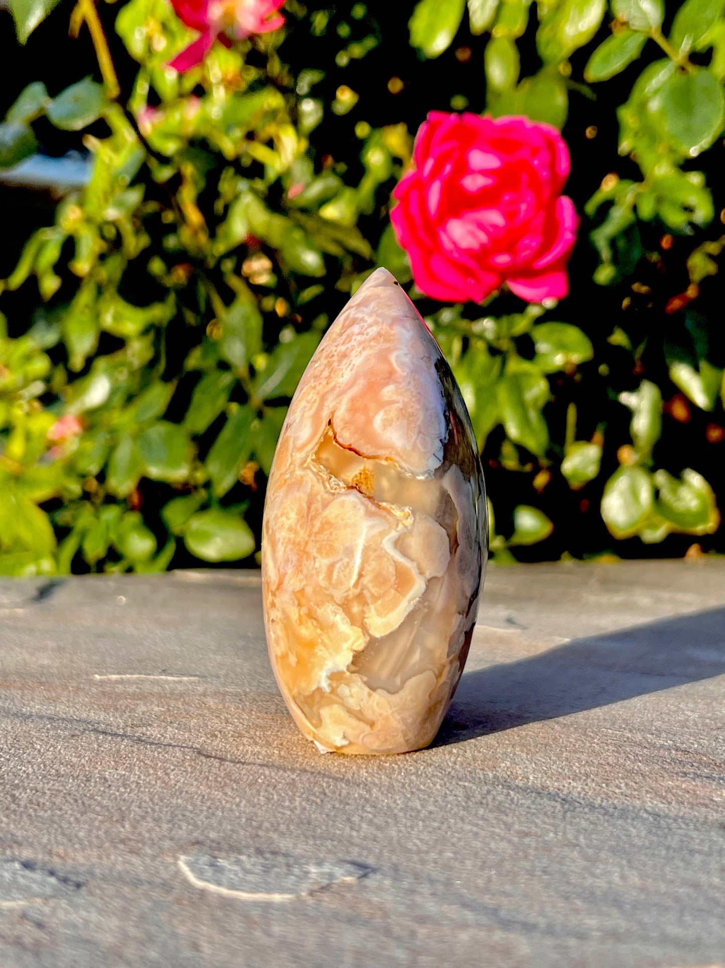 4" inch Polished Cherry Blossom Agate Free Form Specimen