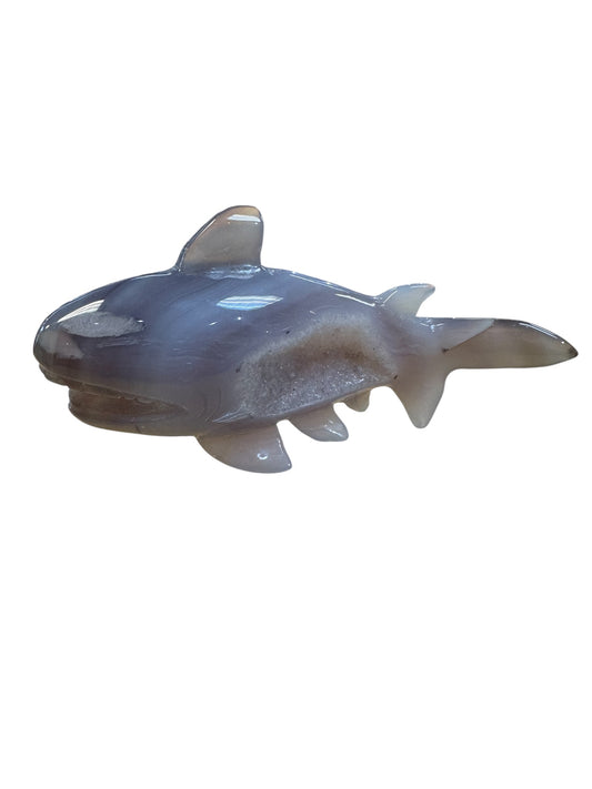 Druzy Agate Stone Carved Whale