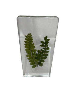Real Preserved Fern Leaf - Encased in Resin - Ethically Sourced