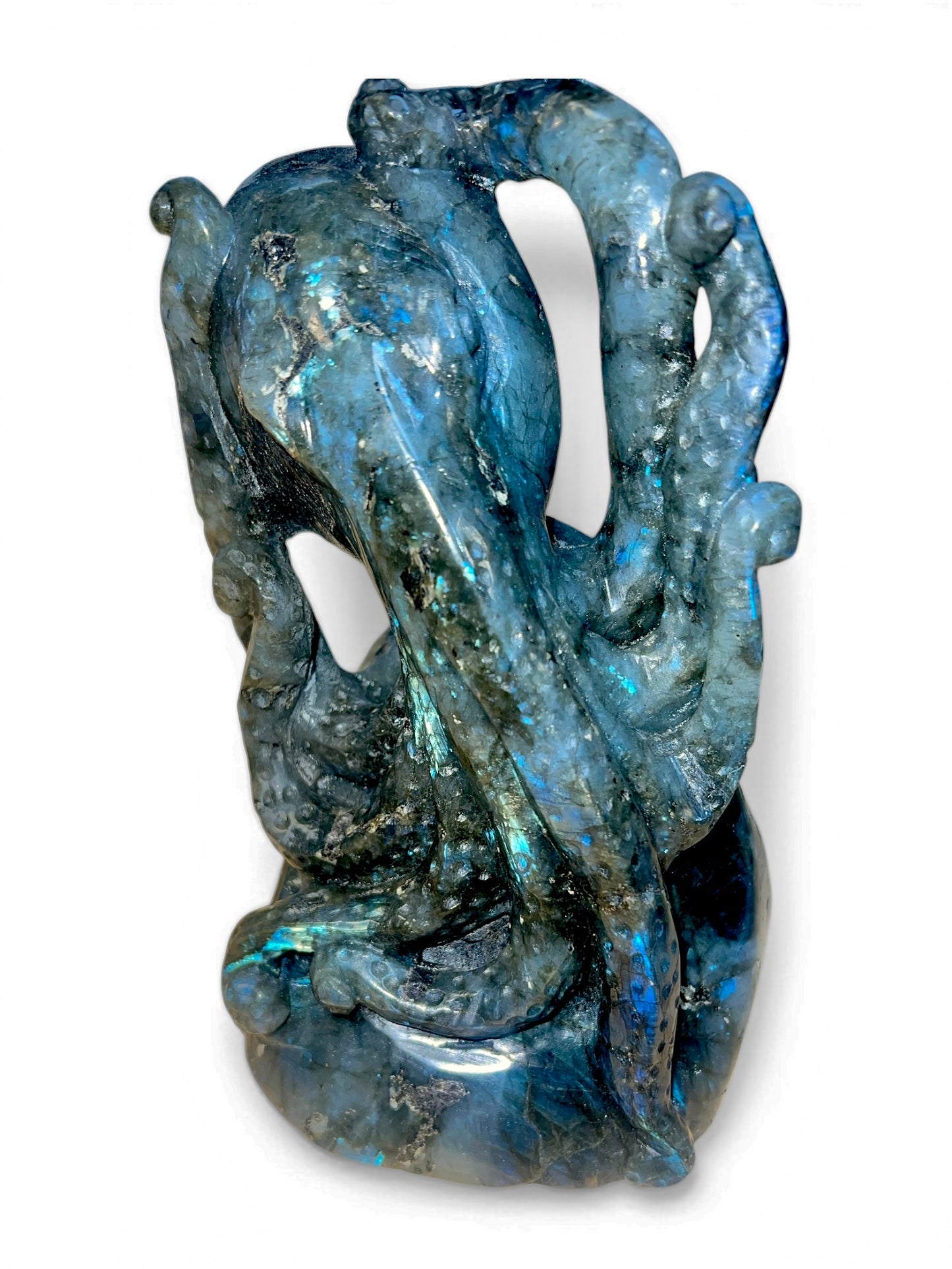 Labradorite Octopus (Madagascar) - Hand Carved - 7"x5" inches
