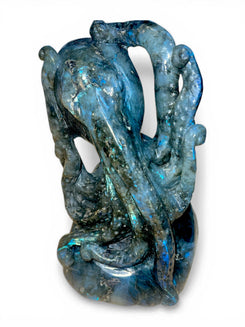 Labradorite Octopus (Madagascar) - Hand Carved - 7"x5" inches