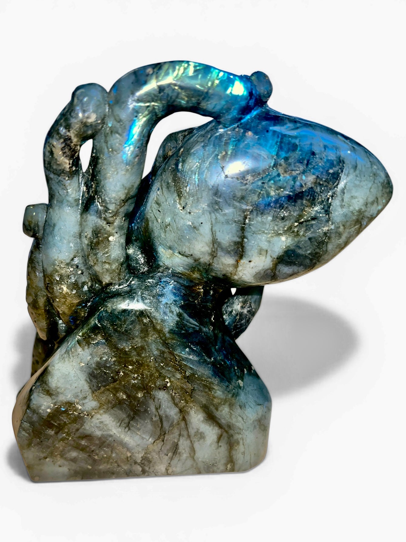 Labradorite Octopus (Madagascar) - Hand Carved - 7"x5" inches