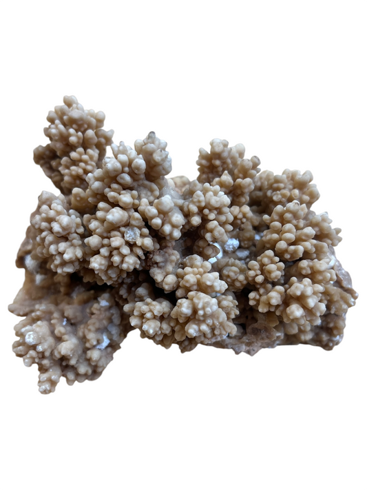 Rough Cave Calcite (Mexico) *Rare*