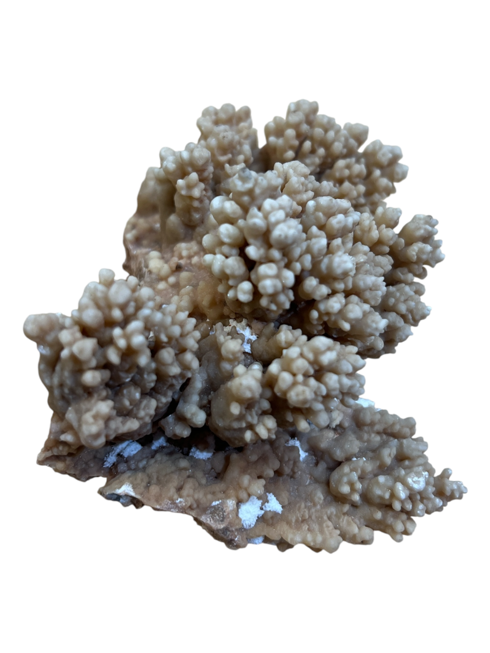 Rough Cave Calcite (Mexico) *Rare*