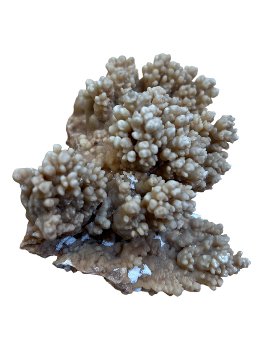 Rough Cave Calcite (Mexico) *Rare*