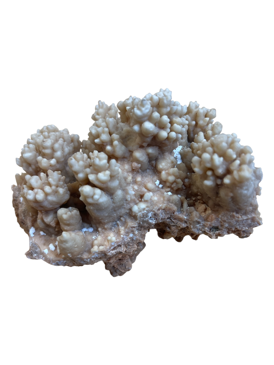 Rough Cave Calcite (Mexico) *Rare*