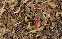 2oz Citrus Blossom White